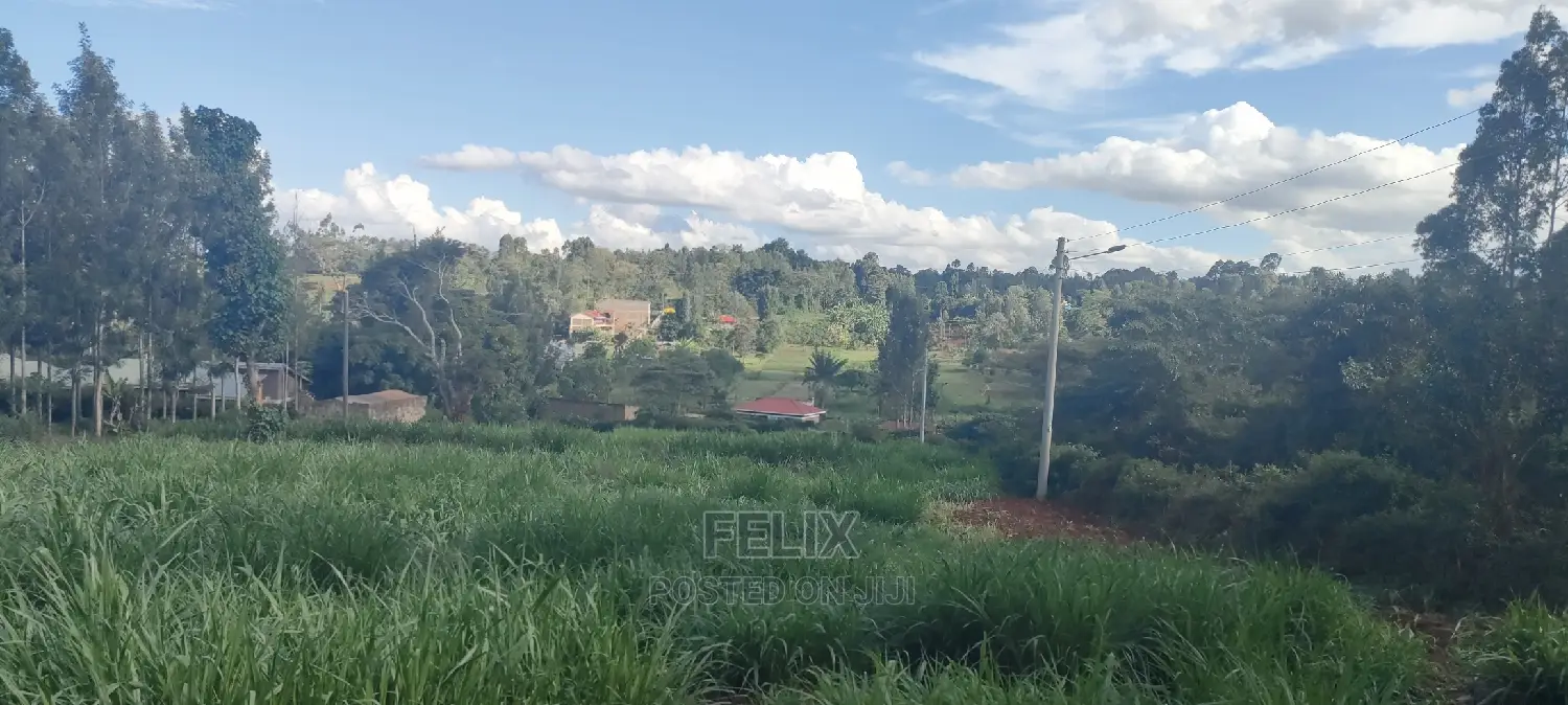 1/2 Acre Nyeri/Skuta