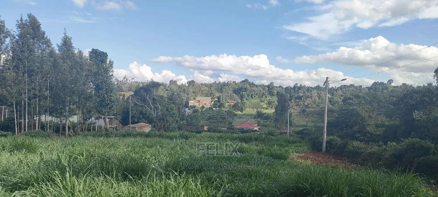1/2 Acre Nyeri/Skuta