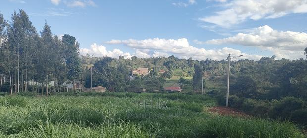 1/2 Acre Nyeri/Skuta - thumbnail 16