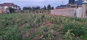 Big 1⁄4 Plot for Sale in Royalton Eldoret - thumbnail 2