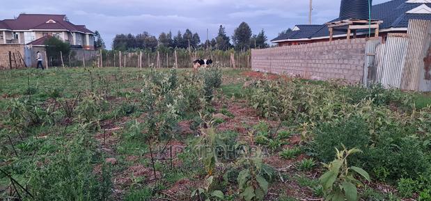 Big 1⁄4 Plot for Sale in Royalton Eldoret - main view