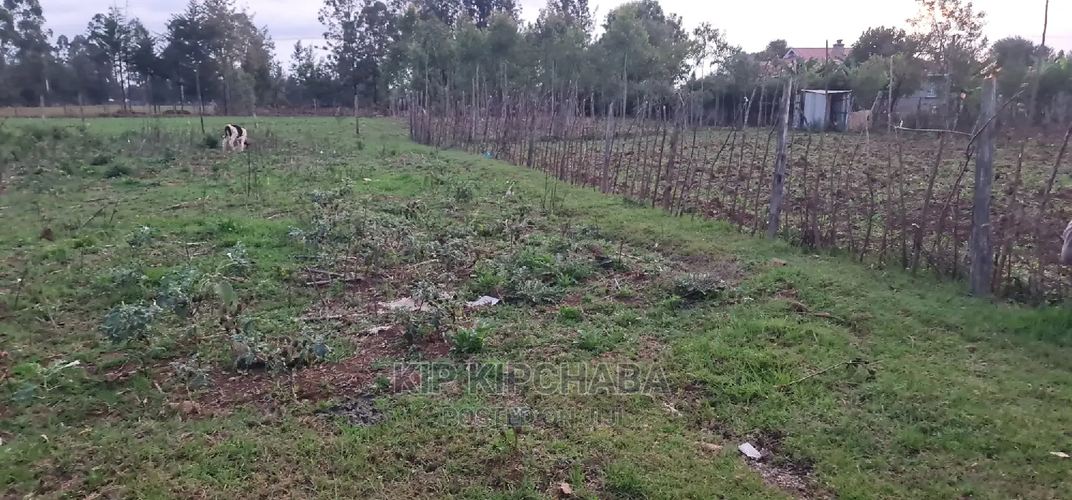 Big 1⁄4 Plot for Sale in Royalton Eldoret