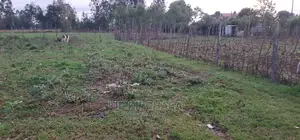 Big 1⁄4 Plot for Sale in Royalton Eldoret