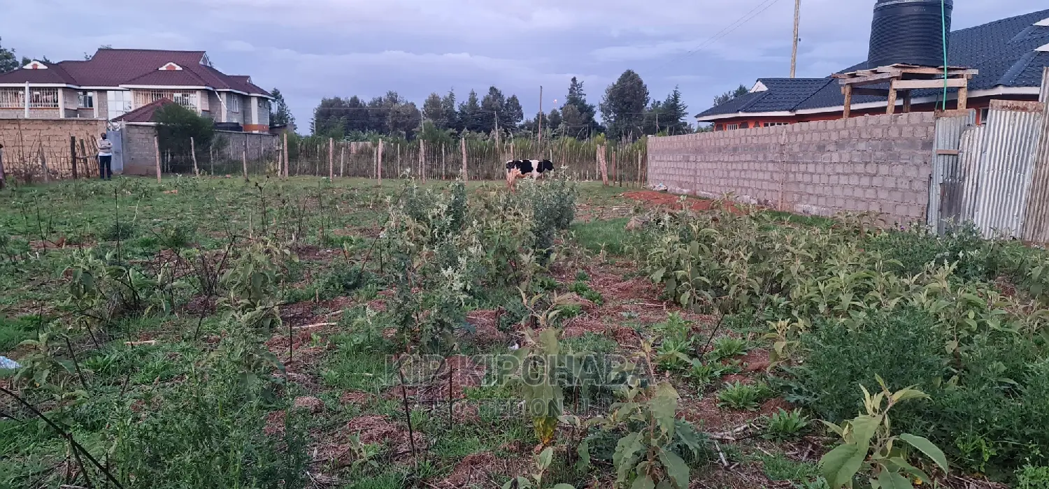 Big 1⁄4 Plot for Sale in Royalton Eldoret