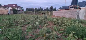 Big 1⁄4 Plot for Sale in Royalton Eldoret