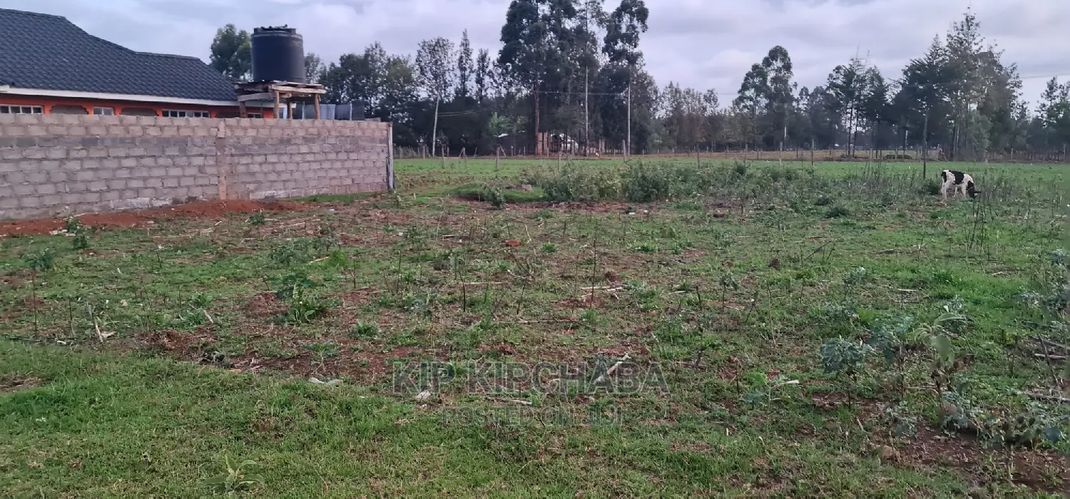 Big 1⁄4 Plot for Sale in Royalton Eldoret