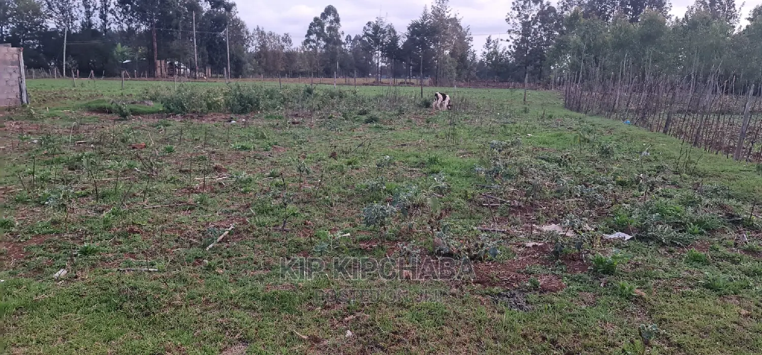 Big 1⁄4 Plot for Sale in Royalton Eldoret