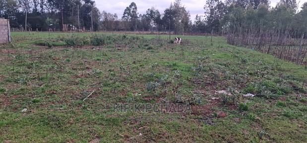 Big 1⁄4 Plot for Sale in Royalton Eldoret - thumbnail 6