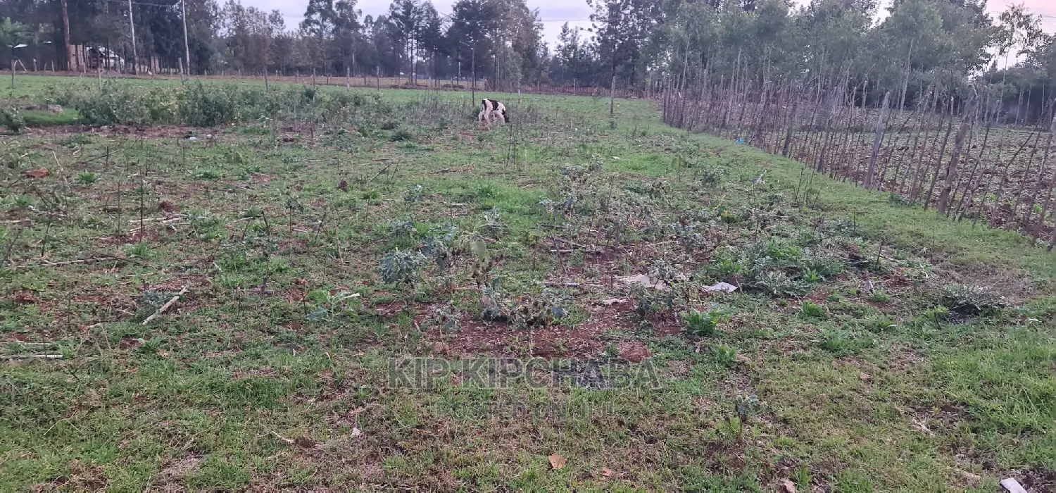Big 1⁄4 Plot for Sale in Royalton Eldoret