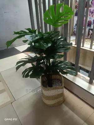 Artificial Monstera Plant With Woven Basket and Pebbles