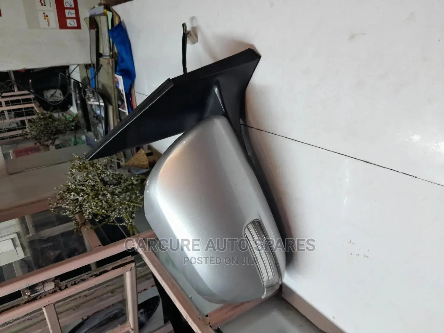 Vanguard Side Mirror