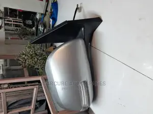 Vanguard Side Mirror