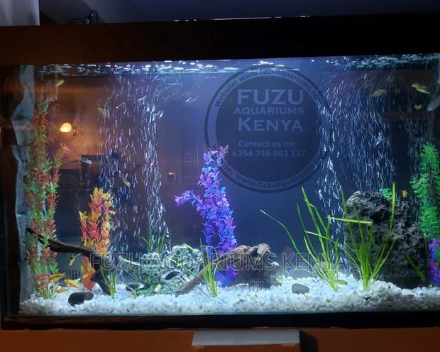 Aquarium Driftwood Available - thumbnail 3