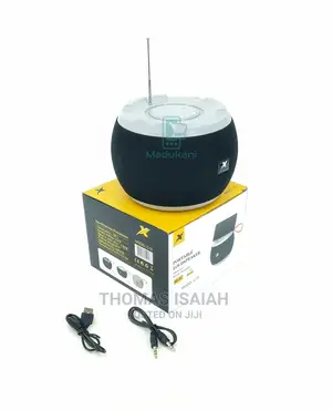 Stylish C15 Portable Bluetooth Speaker FM Radio