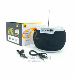Stylish C15 Portable Bluetooth Speaker FM Radio