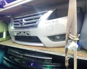 Nissan Sylphy Xenon Nosecut