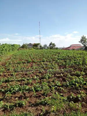 1/4 Plot Kipkorgot Near Catholic Church