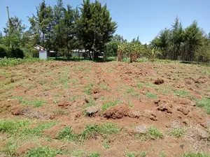 2.5 Acres Kapseret St George S With Title