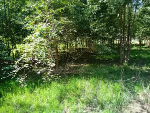 1/4 Annex Near Pazuri Estate With Title