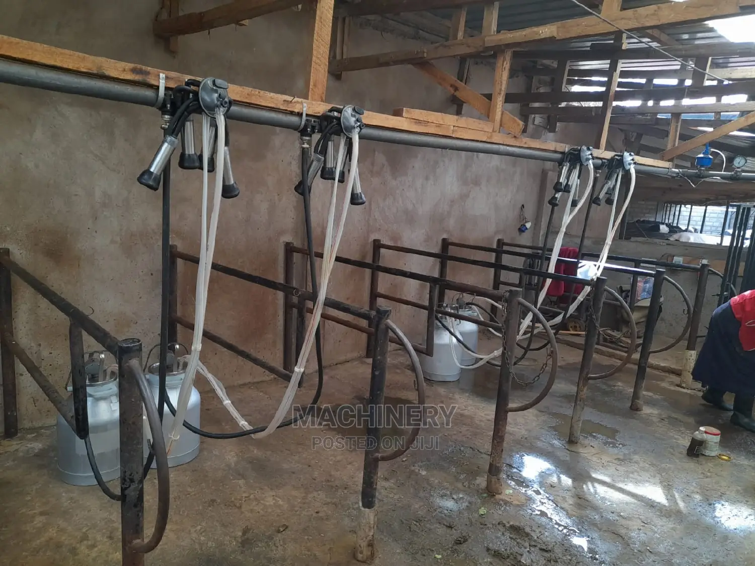 Line Milking Machines For 4cows