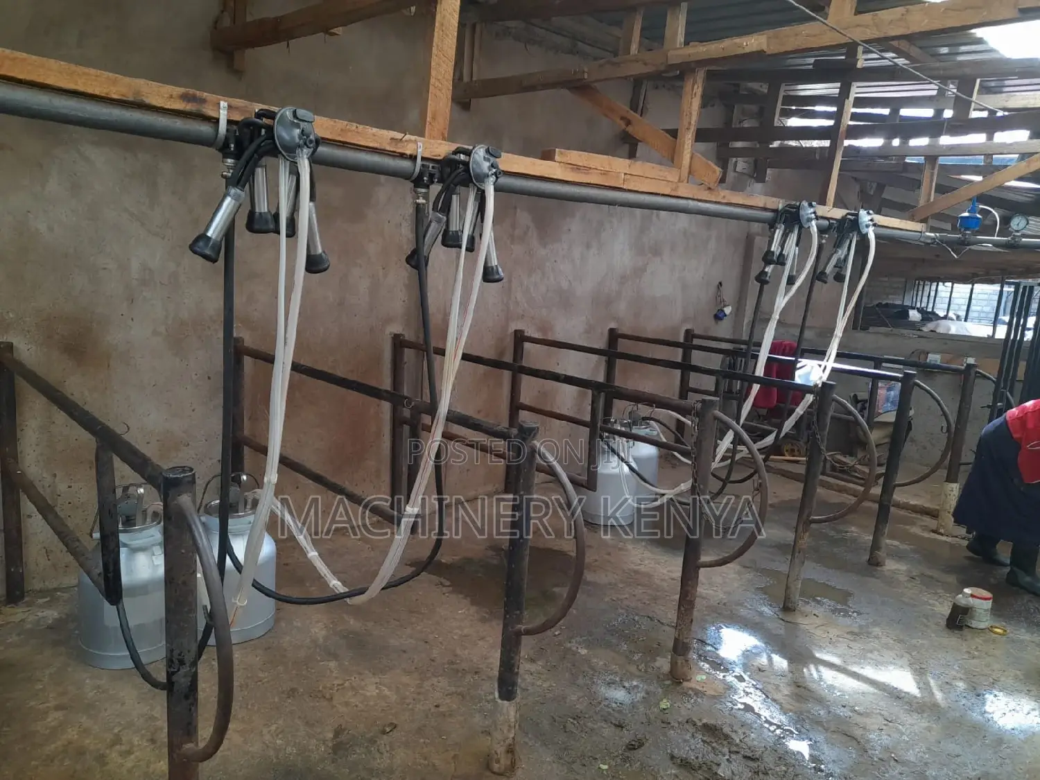 Line Milking Machines For 4cows