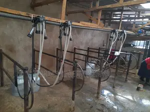 Line Milking Machines For 4cows