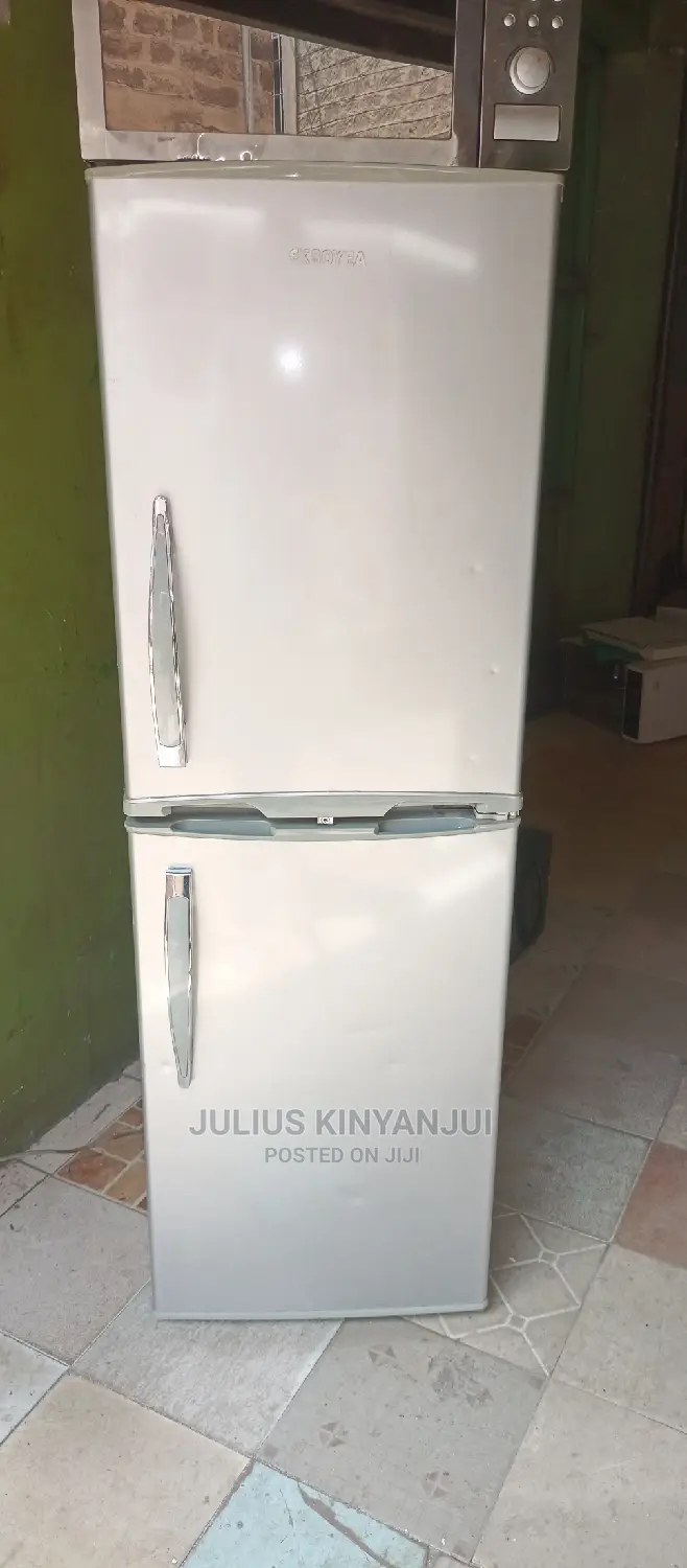 Bottom Freezer Refrigerator