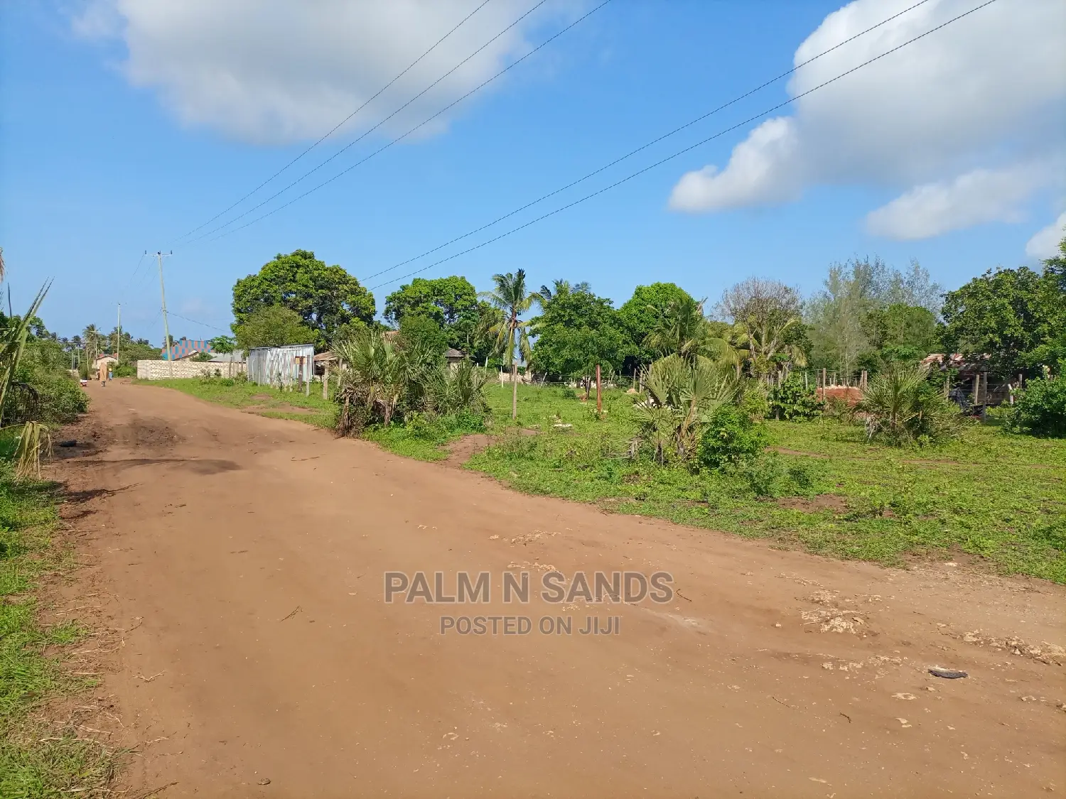 Prime Quarter Acre Plots for You!!