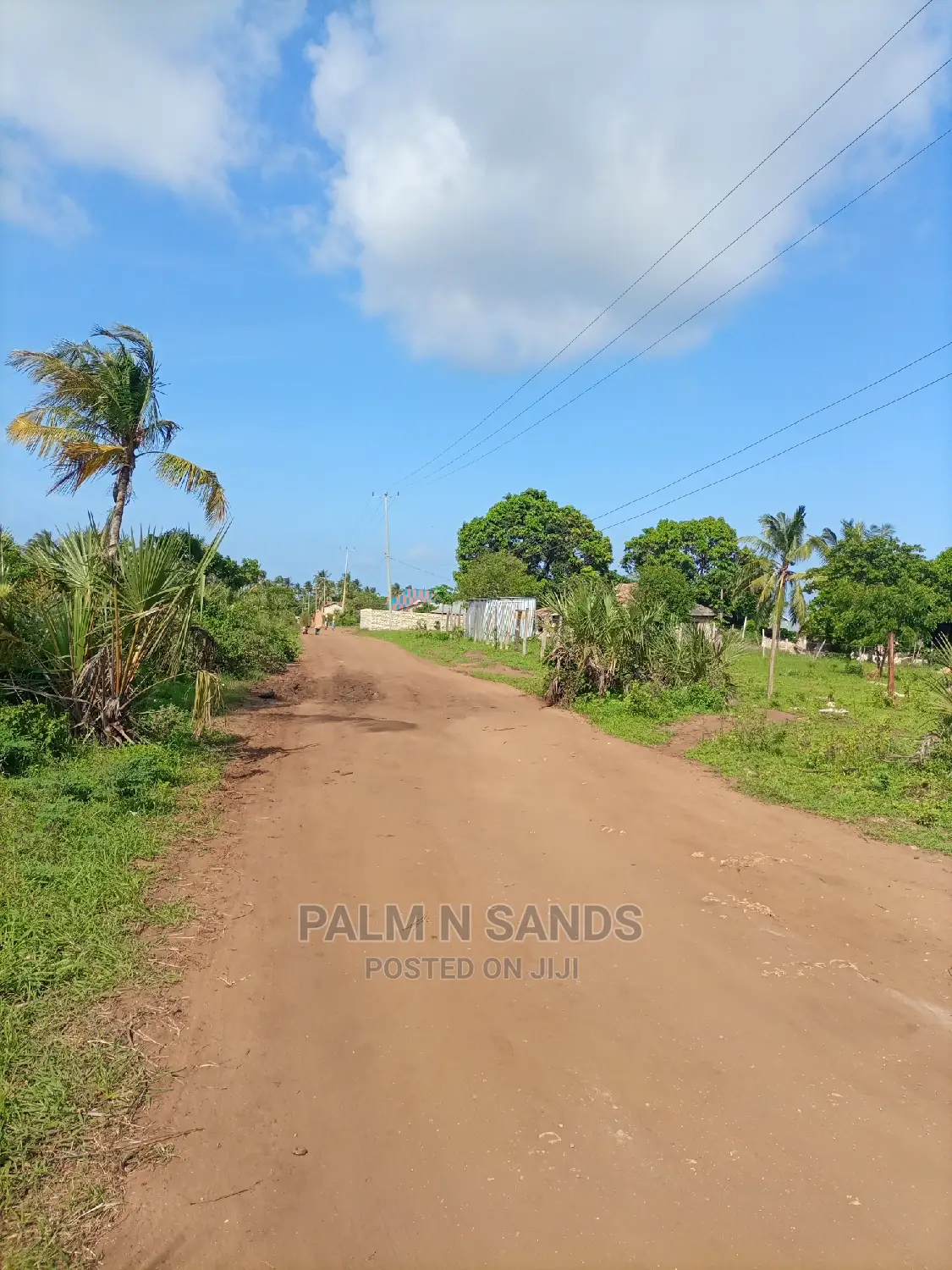 Prime Quarter Acre Plots for You!!