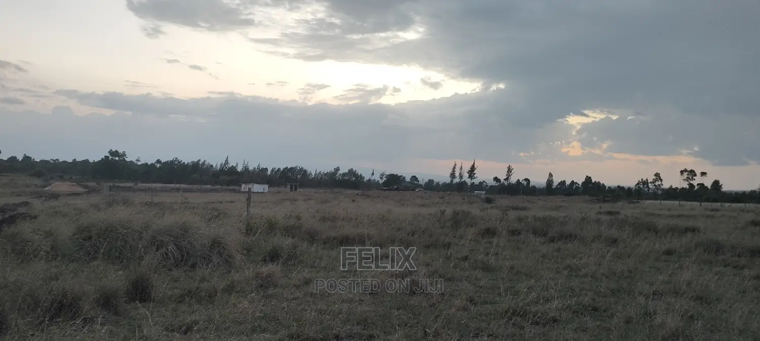 Chaka/Ndiriti Half Acre