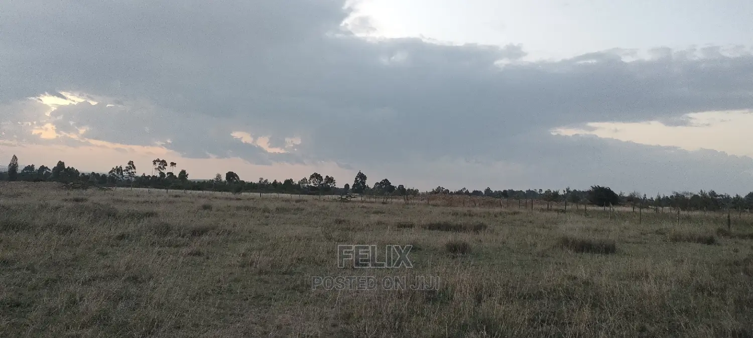 Chaka/Ndiriti Half Acre