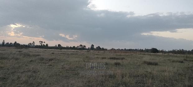 Chaka/Ndiriti Half Acre - thumbnail 2