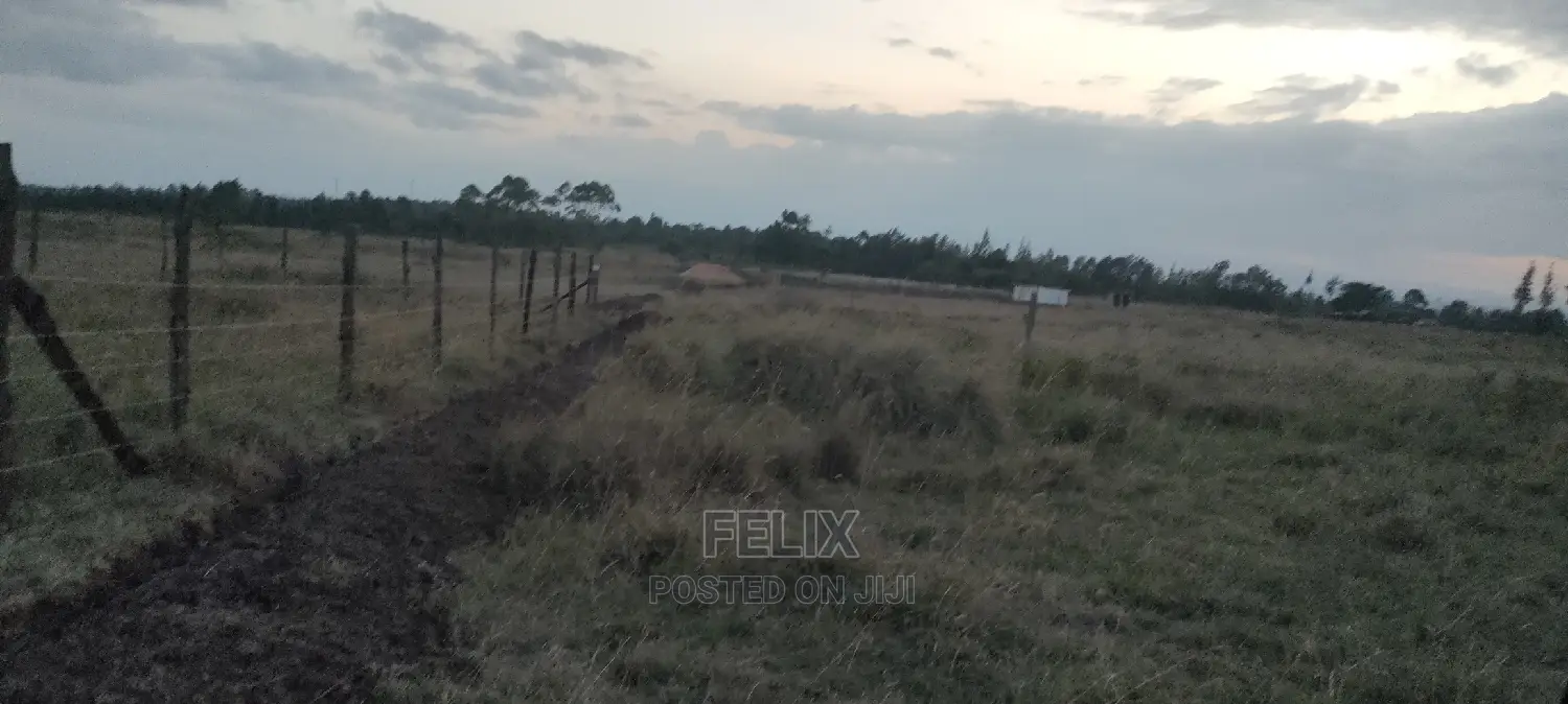 Chaka/Ndiriti Half Acre