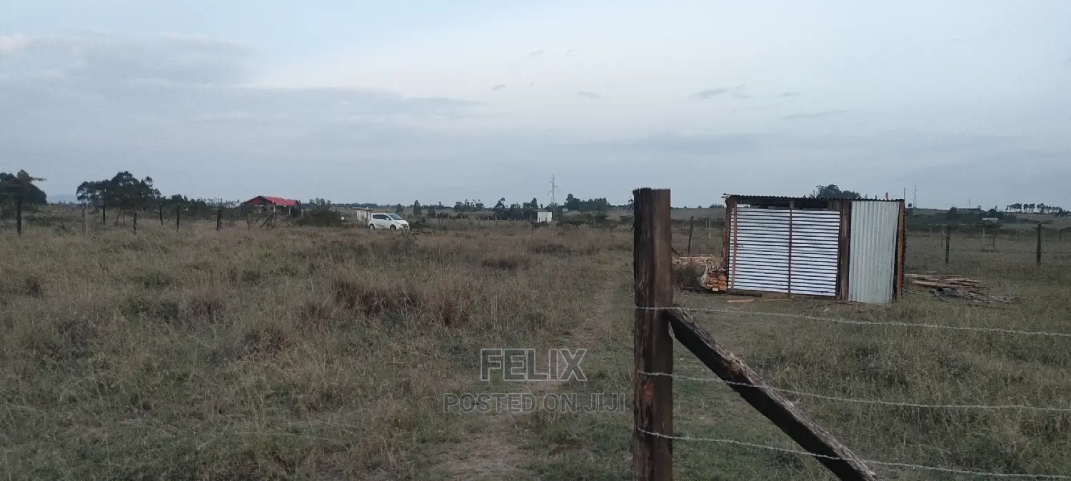 Chaka/Ndiriti Half Acre