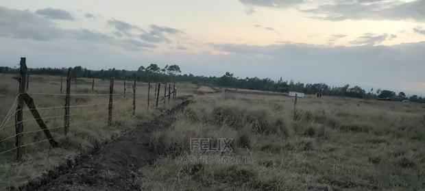 Chaka/Ndiriti Half Acre - thumbnail 7