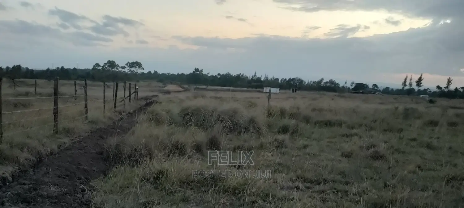 Chaka/Ndiriti Half Acre