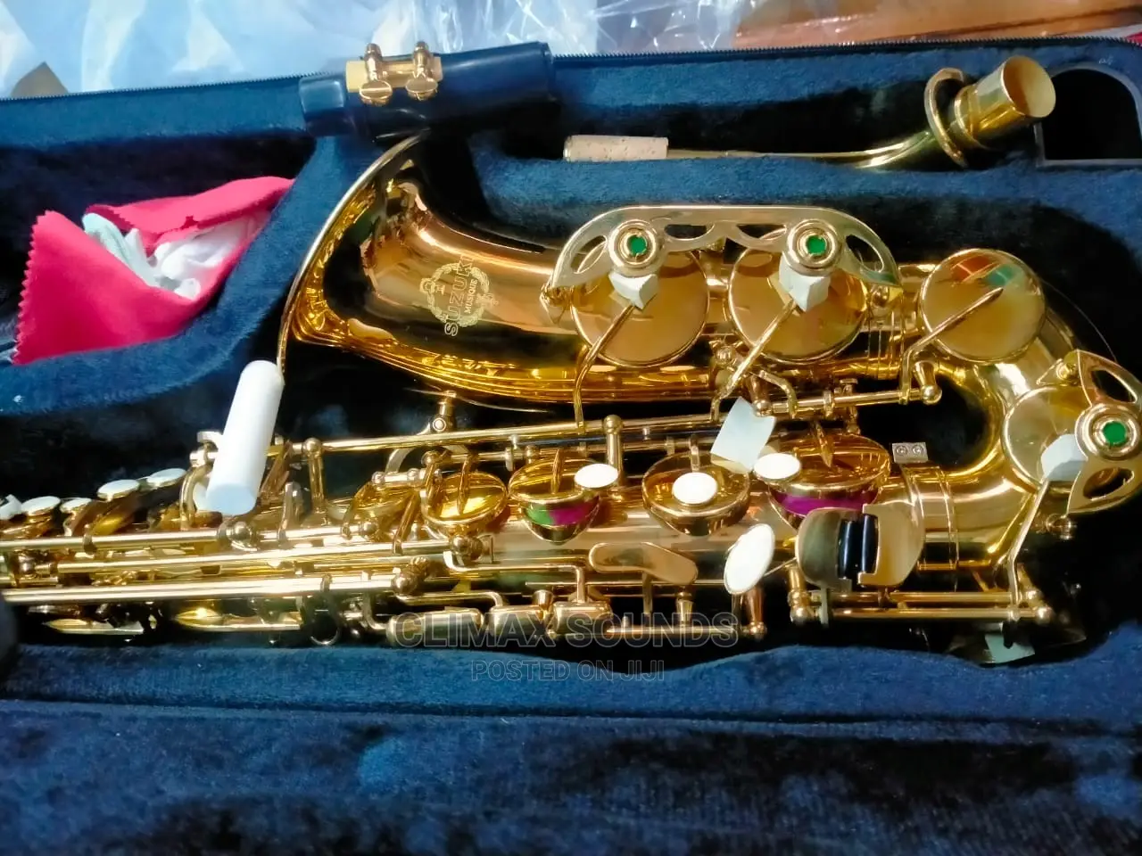 Alto Saxophone Premier