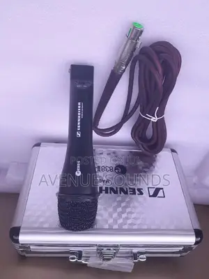 Senhesier Case Microphone