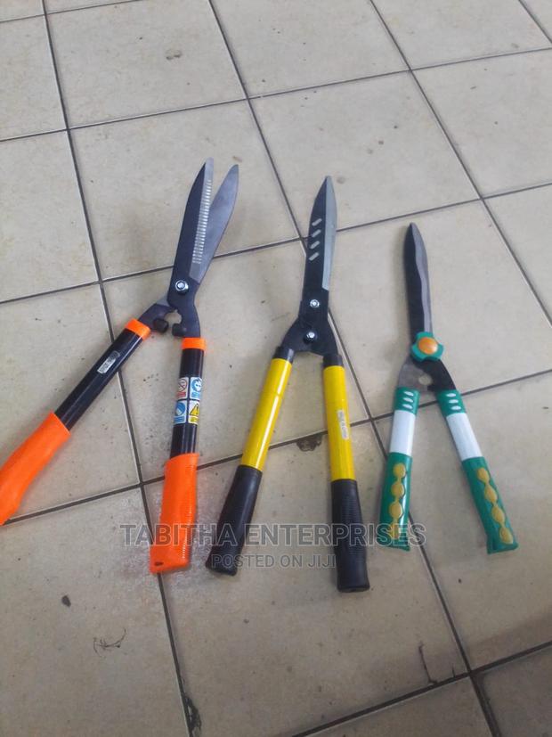 Pruning Shears