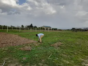 Plot for Sale MUTAITA JOGOO/Mutaita. Piped Water on Site