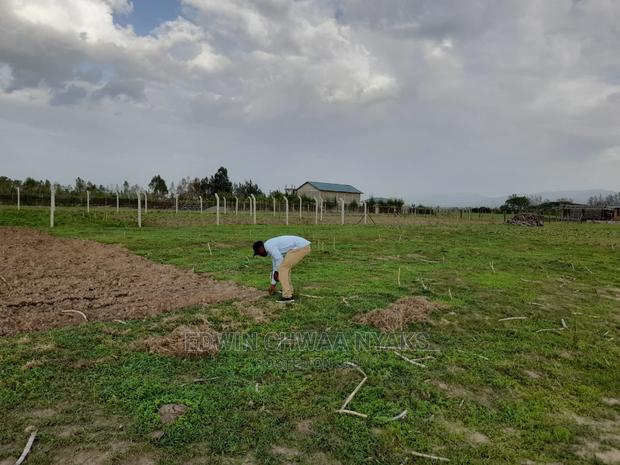 Plot for Sale MUTAITA JOGOO/Mutaita. Piped Water on Site - thumbnail 5