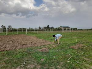 Plot for Sale MUTAITA JOGOO/Mutaita. Piped Water on Site - thumbnail 2