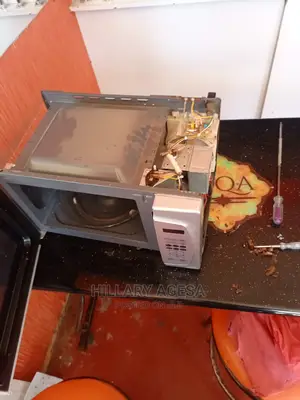 Dispenser/Microwave Repair Services