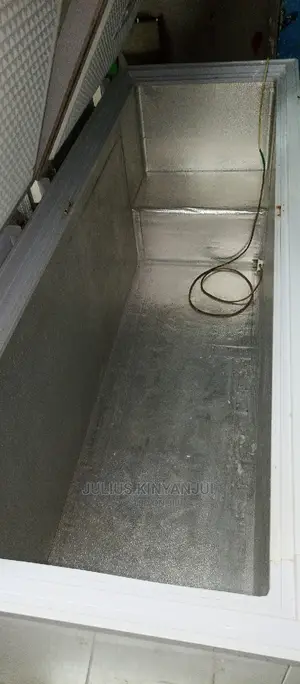 Double Door Freezer