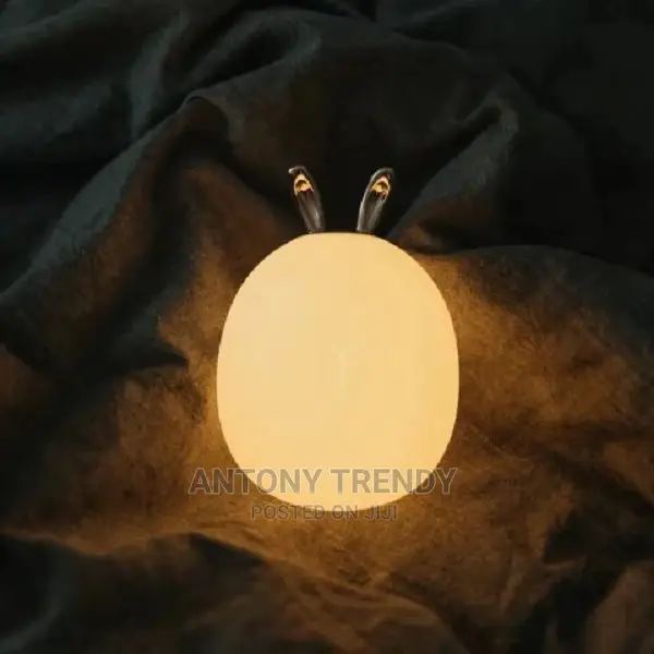 Adorable LED Night Light 3D Print Moon Lamp.