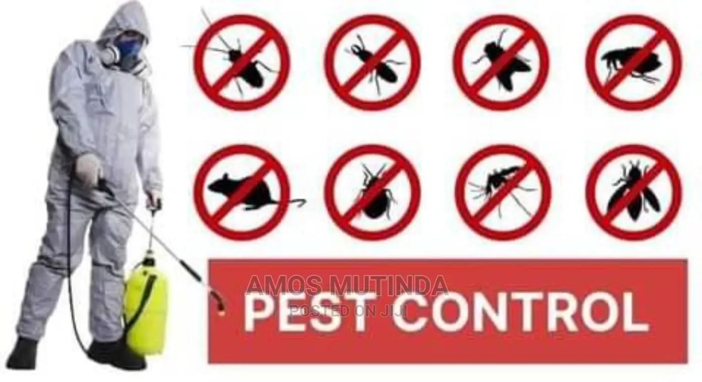 Roaches and Pest Control Services