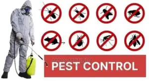 Roaches and Pest Control Services