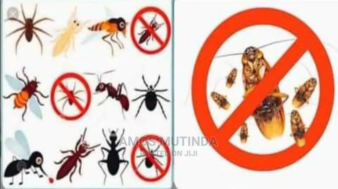 Pest Solution