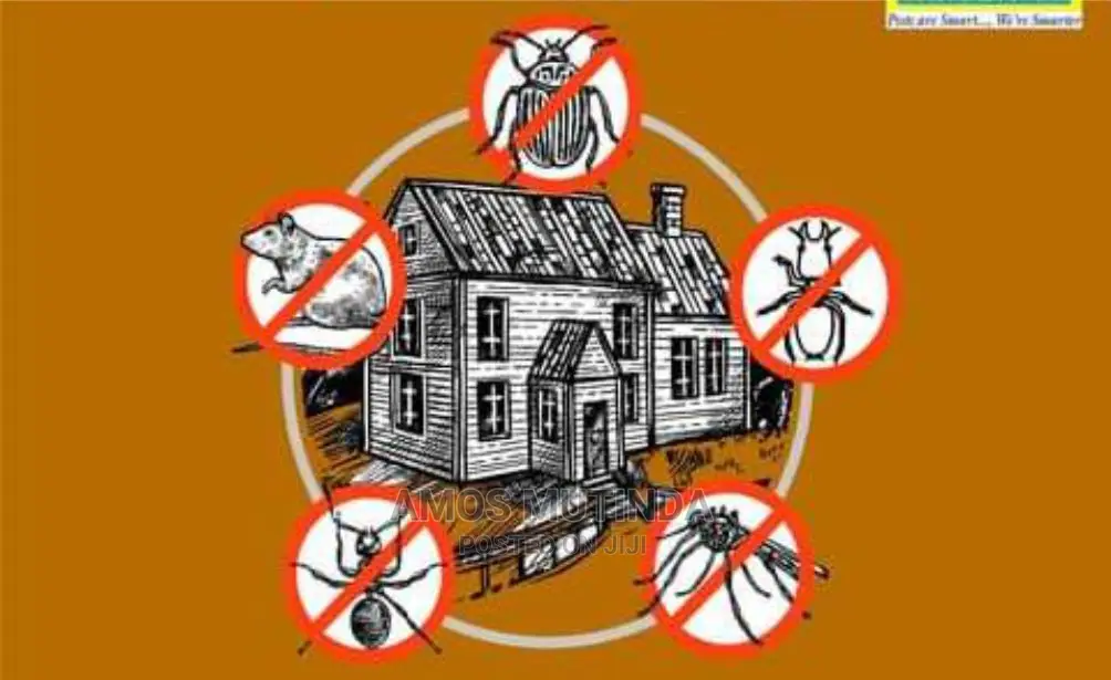 Bug's and Pest Control