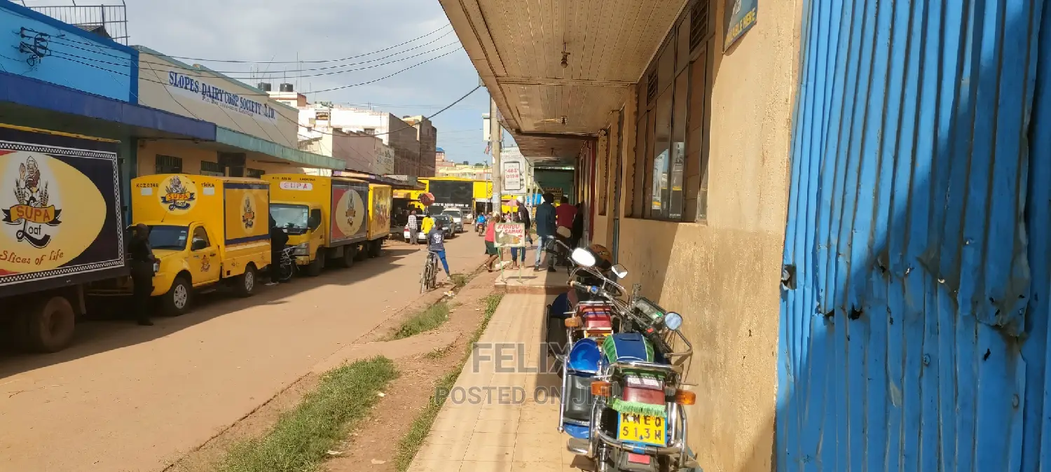 Karatina Town Developed Plot
